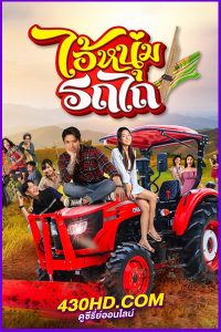 ดูละคร ไอ้หนุ่มรถไถ My Cool Tractor (2025) ย้อนหลัง EP.1-15 (จบ)